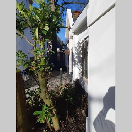 Oranjerie, 7 Km Onder Groningen Apartment Paterswolde Екстериор снимка