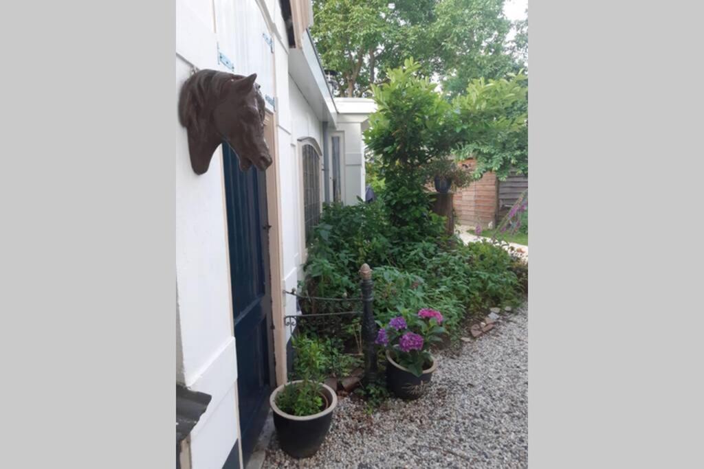 Oranjerie, 7 Km Onder Groningen Apartment Paterswolde Екстериор снимка